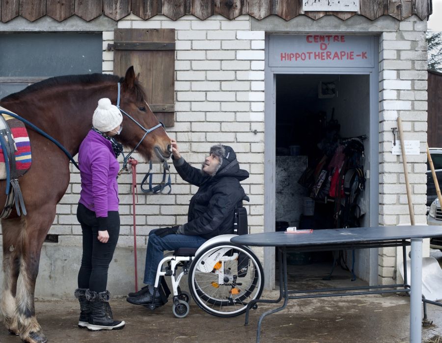 Une personne en fauteuil roulant face à un cheval.