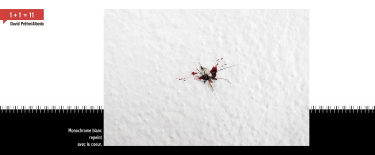 Moustique écrasé sur une tapisserie blanche dans une tache de sang. Légende: Monochrome blanc repeint avec le coeur.