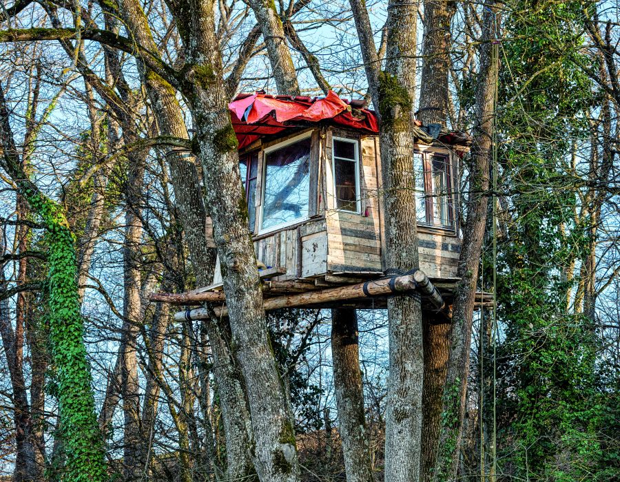 Cabane dans la ZAD