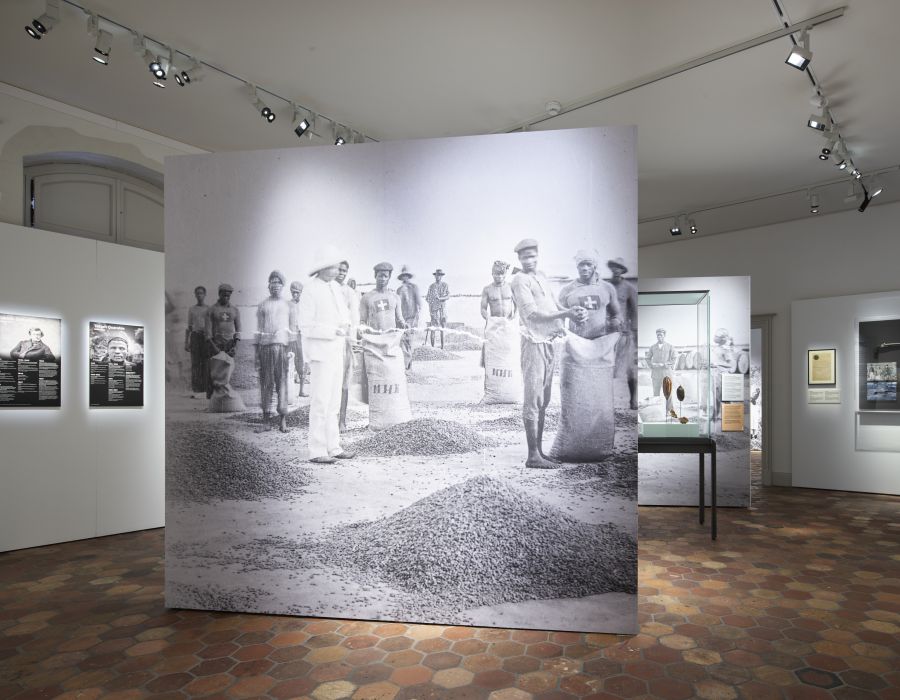 Salle du musée avec photo montrant la récolte du cacao.