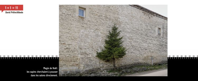 sapin devant façade